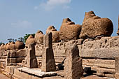 Mamallapuram - Tamil Nadu. The Shore Temple. The stone wall with rows of seated Nandi bulls. 